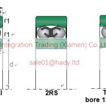 1218 1318 2218 2318 1219 1319 Self-aligning Ball Bearings photo-3