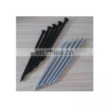 White Steel Concrete Nails/Black Steel Concrete Nails