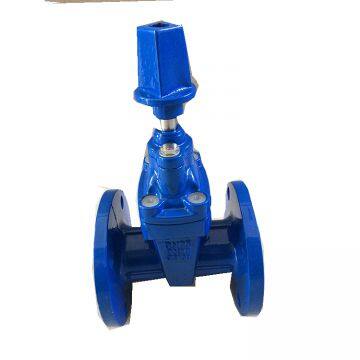 DIN 3352 F4 NRS Ductile Iron Gate Valve , Sluice Gate Valve,rubber Seal Gate Valve photo-5