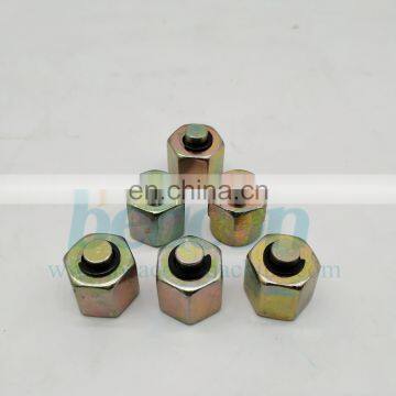 Fuel Rail Plug Common Rail Plug for Rail Pipe Diesel Pump Test Bench Spare Parts Accessories photo-2