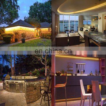 100M Strip Led Light RGB 16 Color Changing With Remote 110V 220V