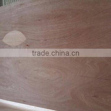 Commercial Plywood photo-3