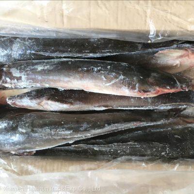 Frozen Catfish