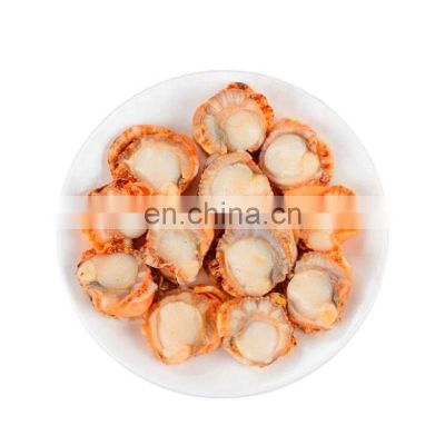 china frozen scallop frozen scallop meat