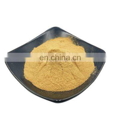 Factory Supply Natural Shiitake Mushroom Extract