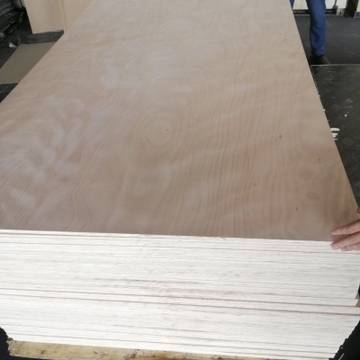 Bintangor Plywood With Waterproof Poplar Wood Core Furniture Use photo-5