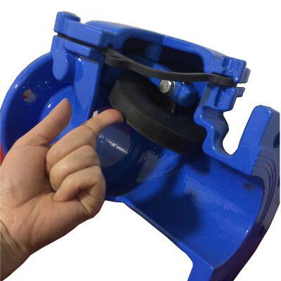 DIN Swing Check Valve DN40-DN600 Size Range, PN10/PN16 Pressure, Ductile Iron Body for Industrial Pipelines photo-5