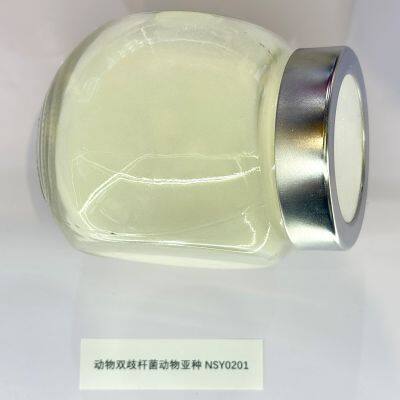 Bifidobacterium Animalis Probiotic Powder for Digestive Health & Immune Support Organic Pure Probiotics