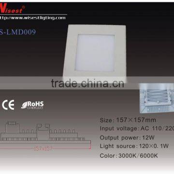 Indoor Ceiling Led Lamp