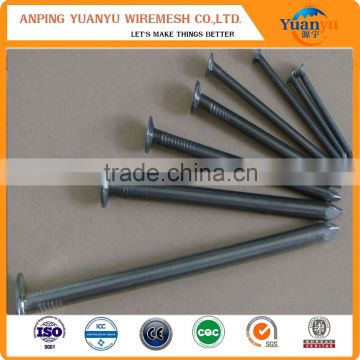 Hot sale common nails/common iron nail/common wire nail