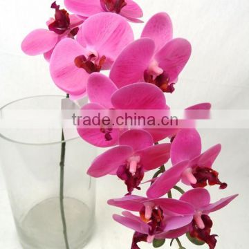 phelaenopsis orchid wedding flower