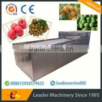 Leader fruit core removing machine with website:leaderservice005