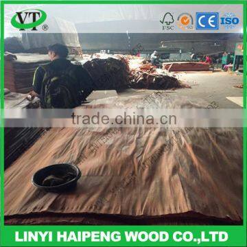 Linyi Factory 0.30mm 0.28mm Grade A/B Water Gum Face Veneer Alternative to Keruing Wood Veneer photo-4
