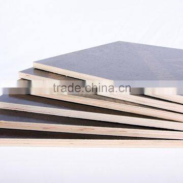 Best poplar core film faced plywood for construction