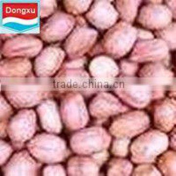 chinese organic raw peanut 28/32