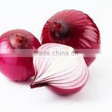 Red onion