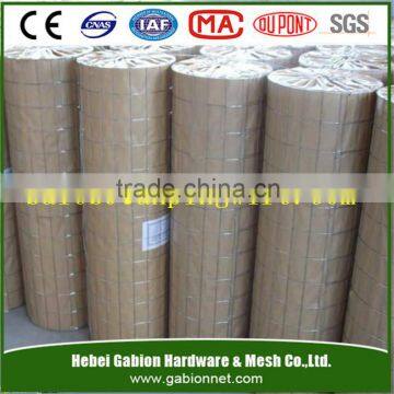 China galvanized welded wire mesh manufacturer