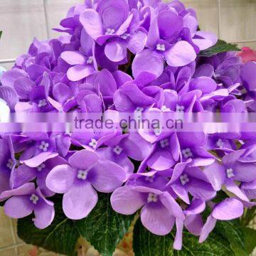 china artificial flowers artificial hydrangea flower wholesale