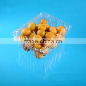 Factory Price Disposable Plastic Fruit Packaging Box With Lid photo-3