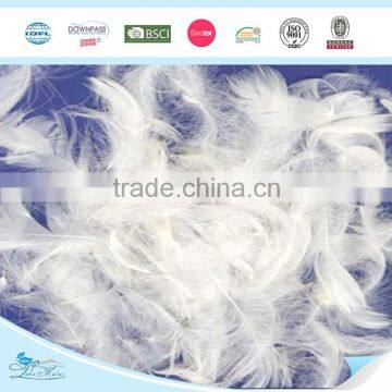 Washed White Goose Feather 2-4cm