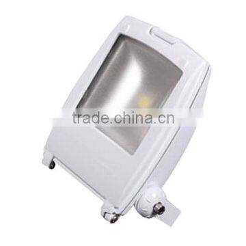 Aluminum Die-casting Body Classical Style High Quality 30w IP65 Led Flood Light photo-2