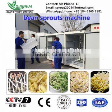 soya bean sprout/automatic sprout machine/yellow bean