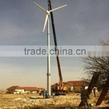 Hot Sale High Efficiency Wind Turbine 20kW Wind Power Turbine Three Phase Output Horizontal Axis PMG photo-6
