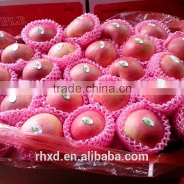 Chinese Red Fuji Apple Suitable for Long Time Shipment