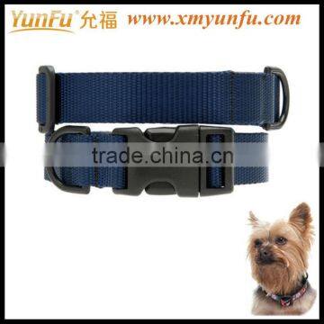 Factory Price Nylon Colorful Buckle cheap Blue dog collars