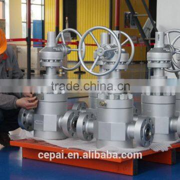Globe Valve/API6A Globe Valve/Forged Gate Valve/Cameron Valve photo-4
