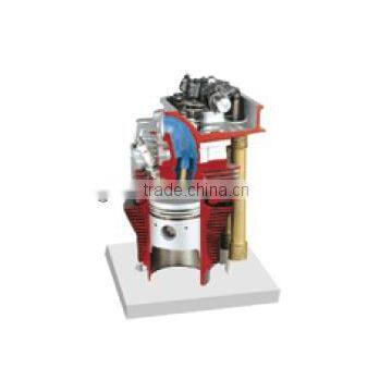 Cylinder and Cylinder Head With Camshaft Dissection Model