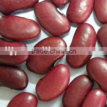 Small Red Kidney Beans