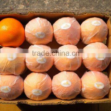 New Crop Fresh Navel Orange From Best Food photo-6