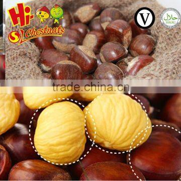 New Crop Bulk Tai an Chestnut-- 40--60 grains chestnuts for sale