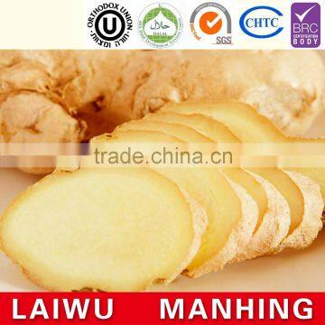 China Fresh Old Ginger Supplier