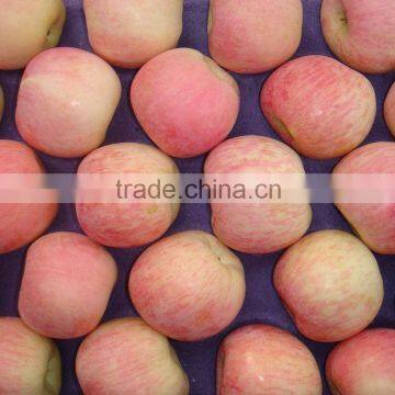 Chinese Fresh Fuji Apple NEW HOT!!