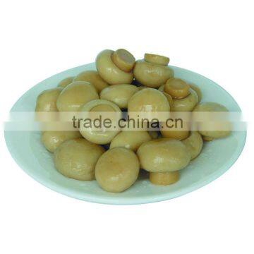 Good Quality Canned Mushroom Whole Choice