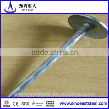 Hot Promotion !!! manufacturing roofing coil nails from Factory in Tianjin China