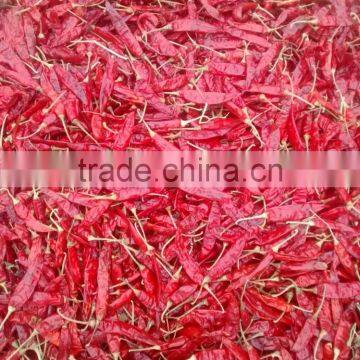 CHILI PEPPER photo-5