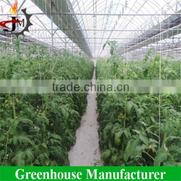 Tomato greenhouse with hanging plant hook