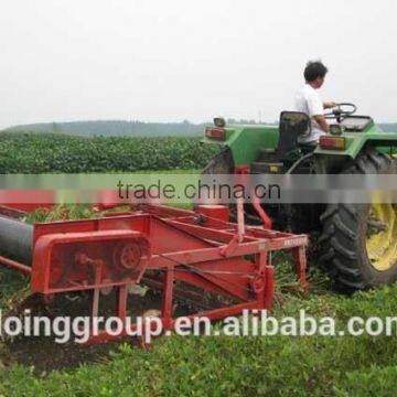 Groundnut Machinery China Supplier photo-5