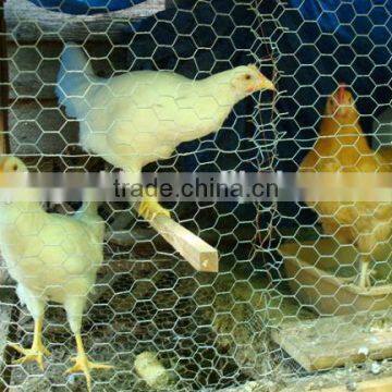 chicken coope hexagonal wire mesh ( ISO9001 factory)