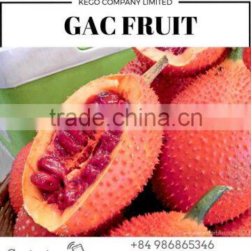 100% pure natural Gac fruit Momordica Cochinchinensis Sement Momordicae extract