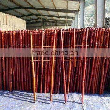 Dyed Red Bamboo Cane Pergola