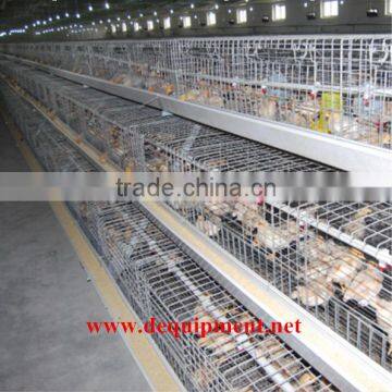 Broiler cage for Srilank farm Kenya farm and Nigeria farm