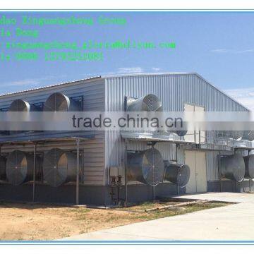 High Quality Prefabricated Chicken Shed and Chicken Farm