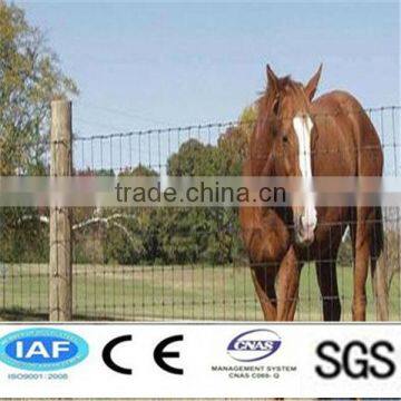 China Grassland Fence (good quality)