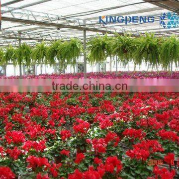 Flower And Vegetable Growing Greenhouse photo-3