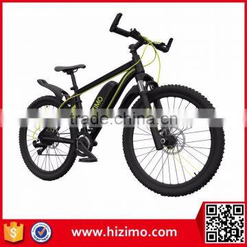 250w Best Electric Bicycle China