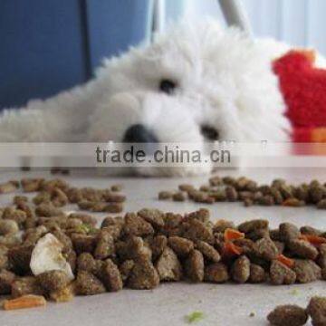 Dog Dryer Machine photo-4